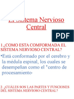 El Sistema Nervioso Central-LUIS FERNANDO GUZMAN TAPIA - 6TO B