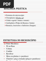 biologia_pratica