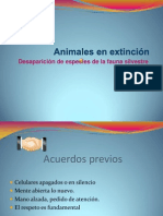 Animales en Extincion