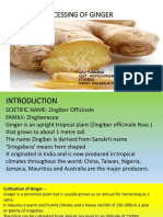 Proc of Ginger