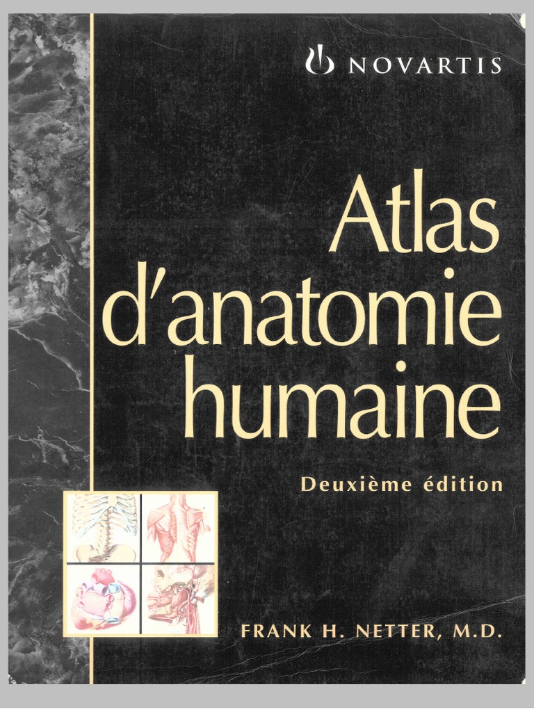 Atlas D'anatomie Humaine - Franck Netter | PDF