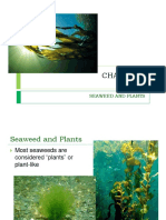 Chapter6 Seaweed 160330120457