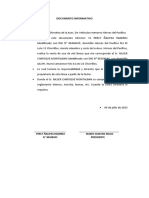 Documento Informativo