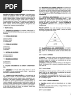 Apostila Resumida Dir. Constitucional