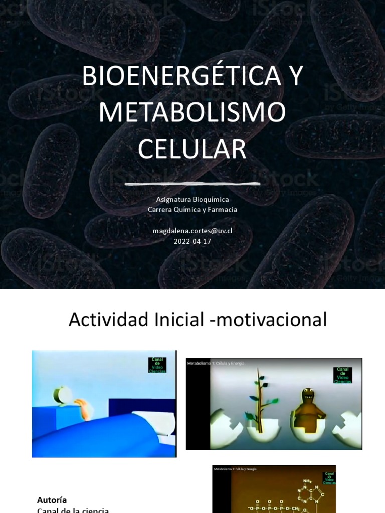 Bioenergética y Metabolismo Celular | PDF | Bioenergética | Metabolismo