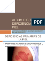Album Digital Deficiencias de La Piel