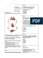 Ogmmateryal 1617719