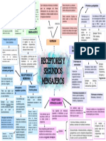 Mapa de Receptores