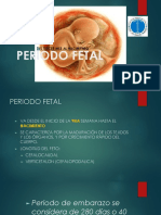 6.fetal y Placenta