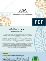 SESA Product Brief For Film