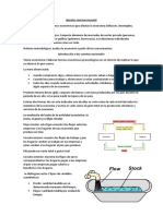 Apuntes Macroeconomía