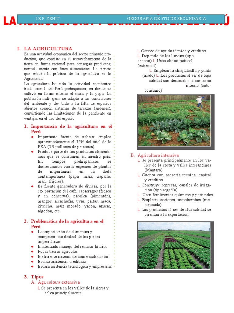 La Agricultura Y Ganadería En El Perú Para Quinto Grado De Secundaria Pdf