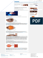 Anatomía Del Ojo - Partes Del Ojo y Como Vemos - American Academy of Ophthalmology