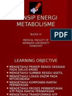 Prinsip Energi Metabolisme