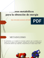 Procesos metabólicos