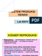 6 7 Sistem Reproduksi