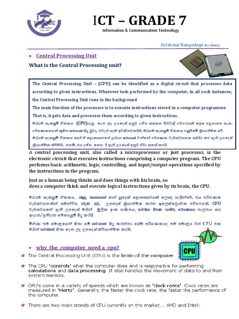 Grade 7 Lesson 1 | PDF