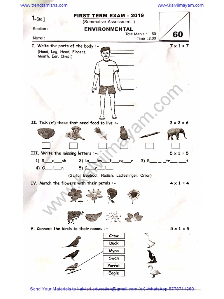 1st Standard EVS Quarterly Question Paper | PDF