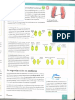 Desafio Octavo - Pagina 33