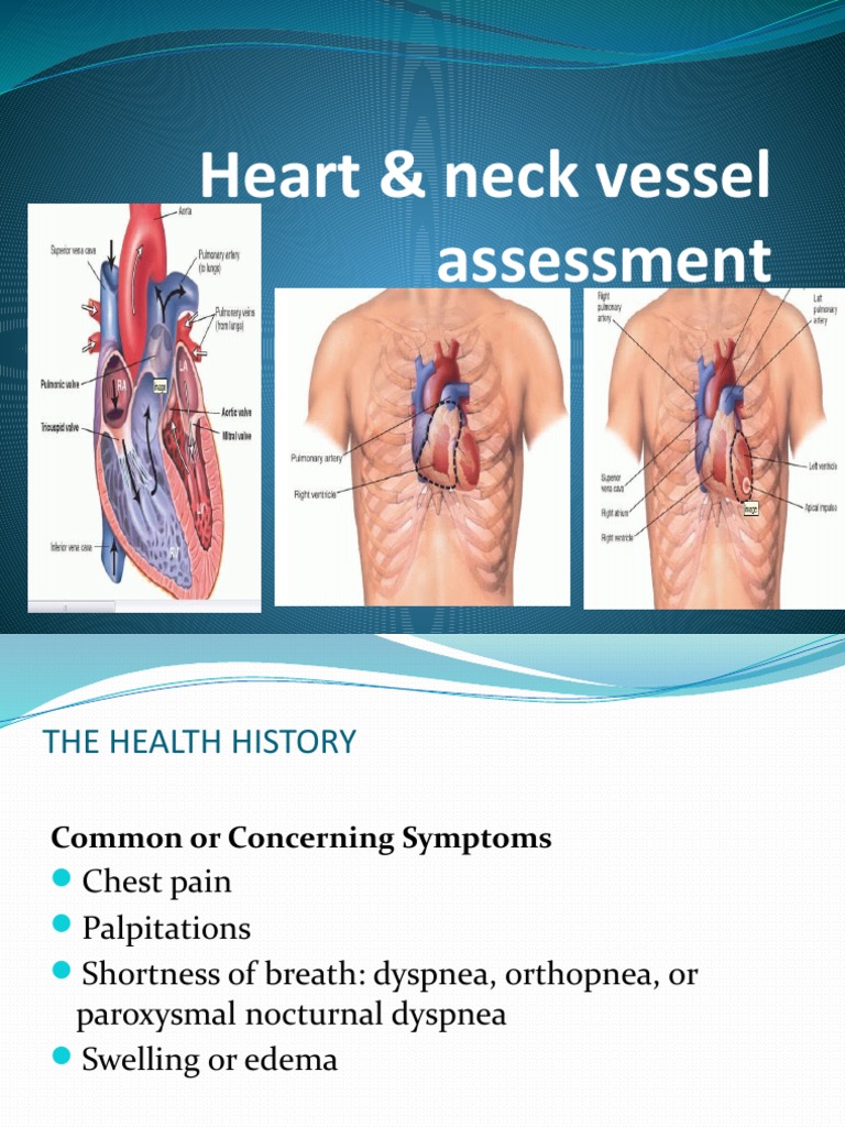 Heart & Neck Vessel Assessment | PDF | Heart | Pulse