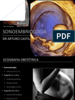 Sonoembriologia - CASTILLO