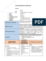 Plan de Desarrollo Curricular Fisica