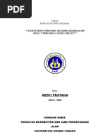 Download tumbuhan-daun-melati by VondaEkaAnggriawan SN66471527 doc pdf