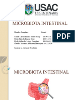 Microbiota Intestinal Sección A Nocturna