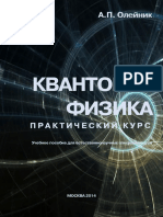 498-kvantovaja-fizika_-prakticheskij-kurs_olejnik-a_p_2014-103s