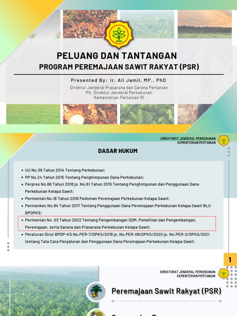 PSR : Problem, Tantangan Dan Solusinya | PDF