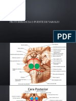 Expo de Psicofisiología