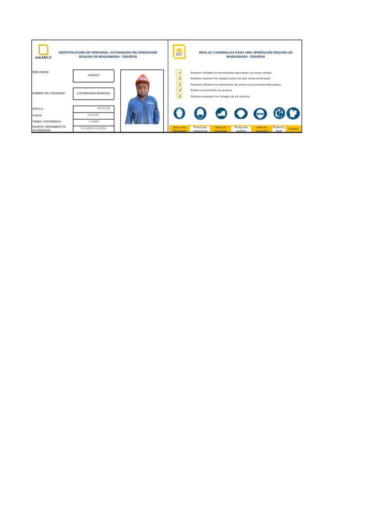 Copia de Modelo Carnet Operador Autorizado Q | PDF