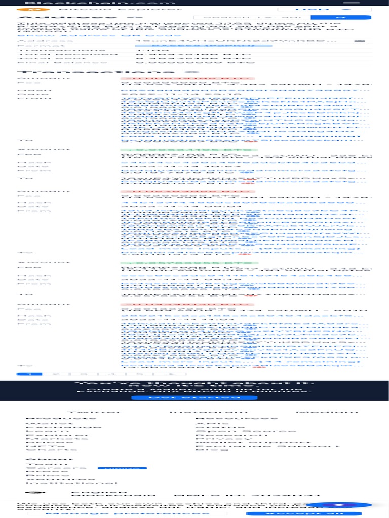 Bitcoin Address Transaction Overview | PDF
