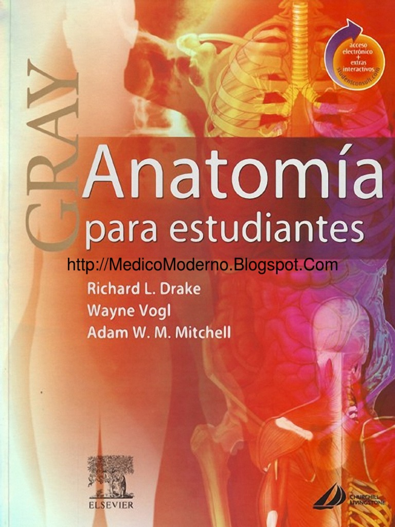 Anatomía de Gray | PDF