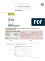 TD N 3 Interpretation Sismique