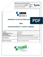 Informe de Hostigamiento y Acoso - Bocanegra