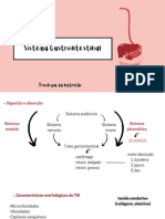 Sistema Gastrointestinal