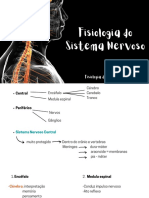 Sistema Nervoso