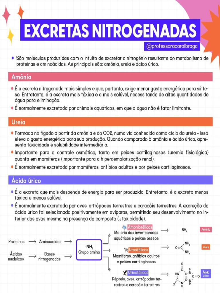#151 | Excretas Nitrogenadas | PDF
