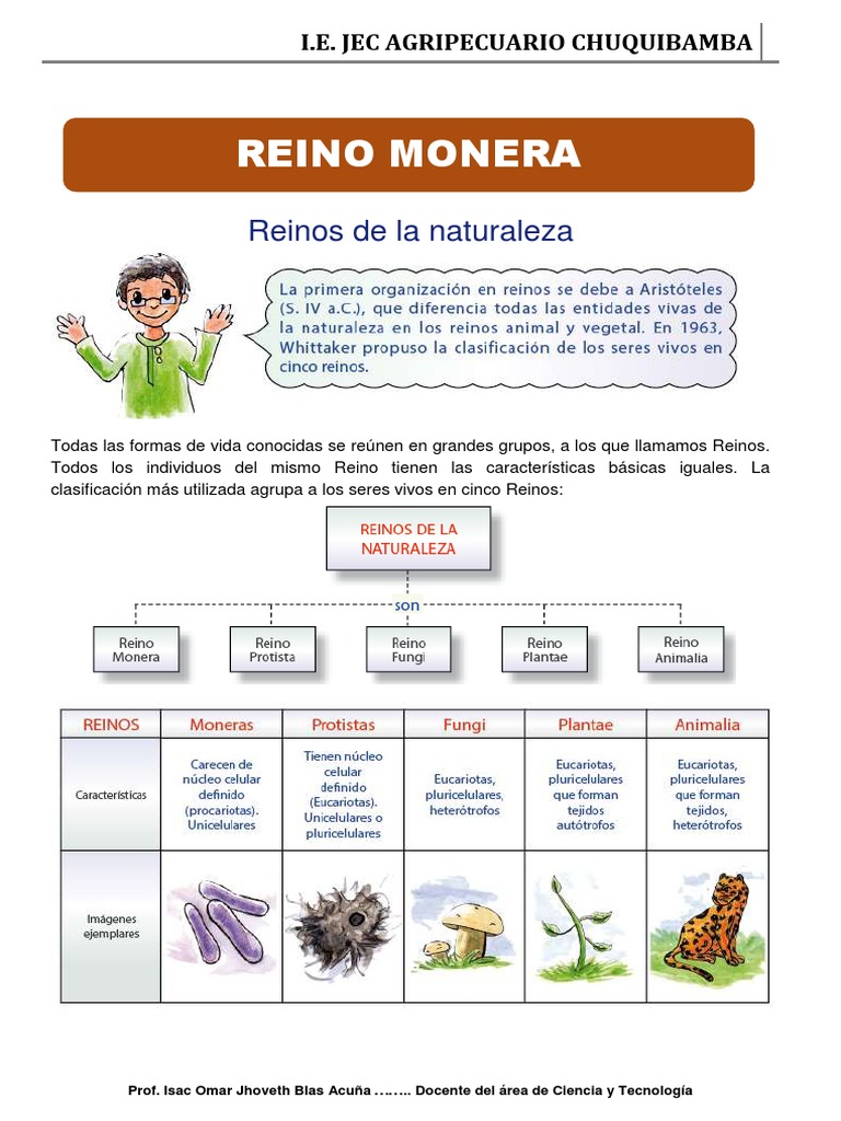 Reino Monera | PDF | Las bacterias | Organismos