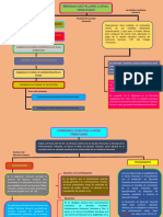 Mapas Conceptuales Sobre Medidas Cautelares y Cobranza Coactiva