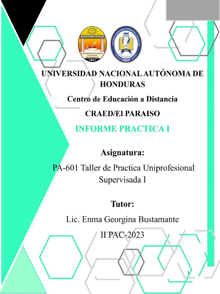 Informe Final Practica I. 2023 | PDF