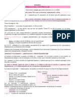 Fisiología Vestibular