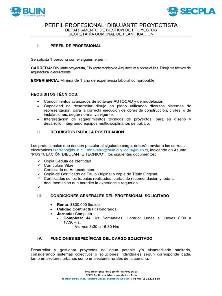 perfil-profesional-dibujante-pdf