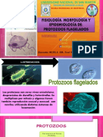 Protozoos Flagelados G4