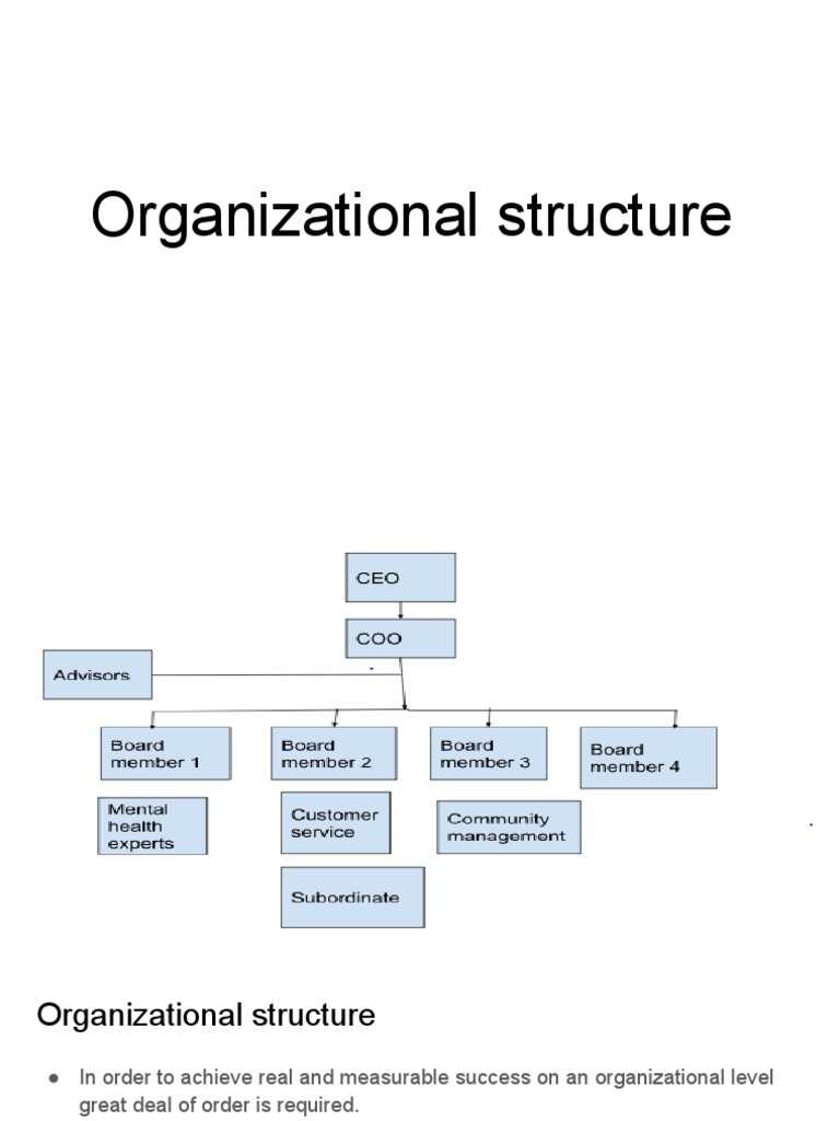 Organizational Structure (1) | PDF