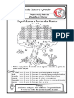 Atividades de Ciências 3º Ano 31 de Julho