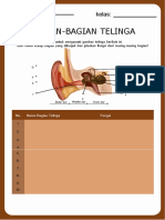 Buatlah Skema Proses Telinga Bekerja !