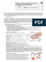 Guía 2 Periodo II 2021 - Ciencias Naturales 6.5 - Célula Vegetal y Animal (2)