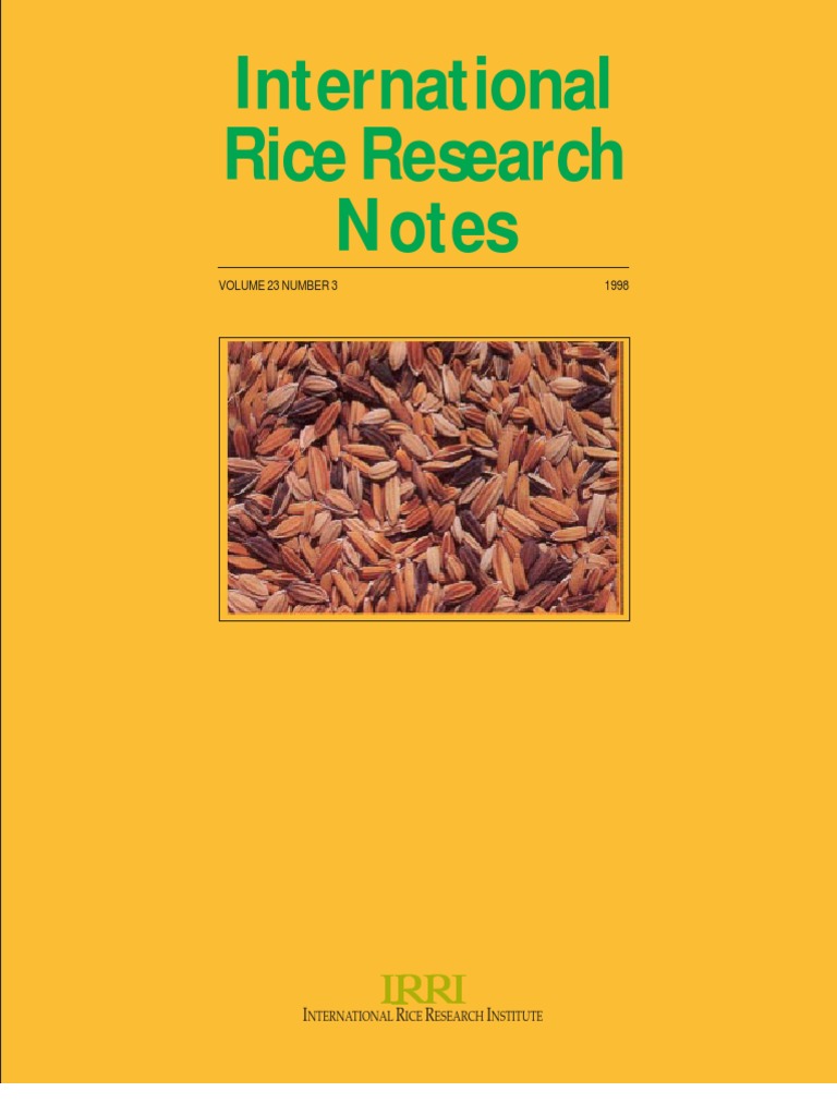 research paper on rice